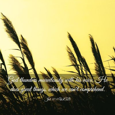 Picture 03 - Job 37:5 WEB - God thunders marvelously with his voice. He does - Bible Verse Picture