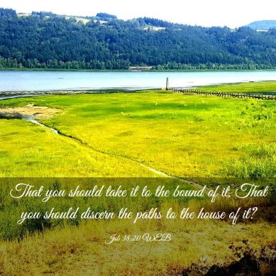 Picture 03 - Job 38:20 WEB - That you should take it to the bound of it, That - Bible Verse Picture