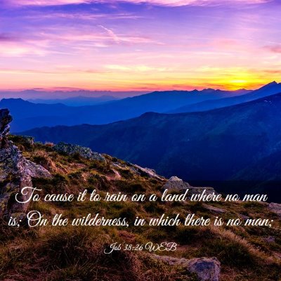 Picture 03 - Job 38:26 WEB - To cause it to rain on a land where no man is; On - Bible Verse Picture