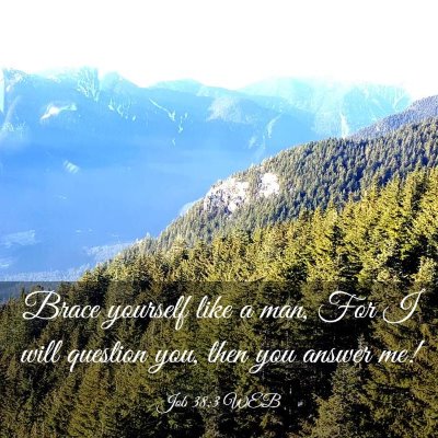 Picture 03 - Job 38:3 WEB - Brace yourself like a man, For I will question - Bible Verse Picture