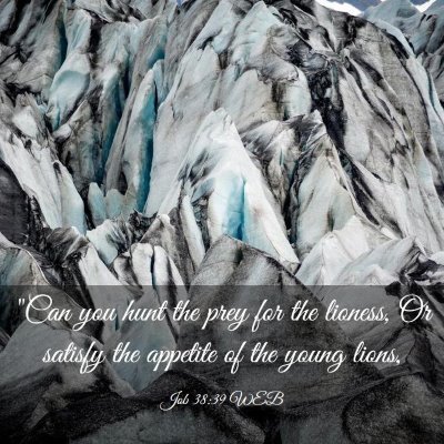 Picture 03 - Job 38:39 WEB - 
