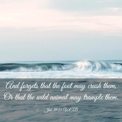 Picture 03 - Job 39:15 WEB - And forgets that the foot may crush them, Or that - Bible Verse Picture