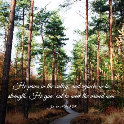 Picture 03 - Job 39:21 WEB - He paws in the valley, and rejoices in his - Bible Verse Picture