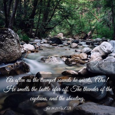 Picture 03 - Job 39:25 WEB - As often as the trumpet sounds he snorts, 'Aha!' - Bible Verse Picture
