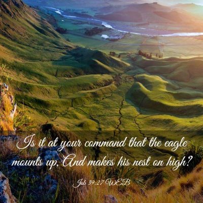 Picture 03 - Job 39:27 WEB - Is it at your command that the eagle mounts up, - Bible Verse Picture