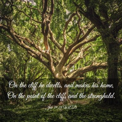 Picture 03 - Job 39:28 WEB - On the cliff he dwells, and makes his home, On - Bible Verse Picture