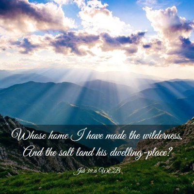 Picture 03 - Job 39:6 WEB - Whose home I have made the wilderness, And the - Bible Verse Picture