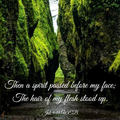 Picture 03 - Job 4:15 WEB - Then a spirit passed before my face; The hair of - Bible Verse Picture