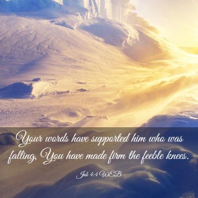 Picture 03 - Job 4:4 WEB - Your words have supported him who was falling, - Bible Verse Picture