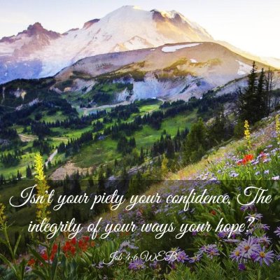 Picture 03 - Job 4:6 WEB - Isn't your piety your confidence, The integrity - Bible Verse Picture