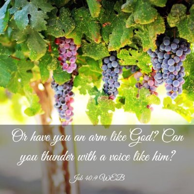 Picture 03 - Job 40:9 WEB - Or have you an arm like God? Can you thunder with - Bible Verse Picture
