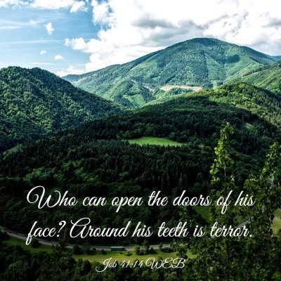 Picture 03 - Job 41:14 WEB - Who can open the doors of his face? Around his - Bible Verse Picture