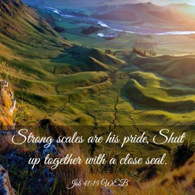 Picture 03 - Job 41:15 WEB - Strong scales are his pride, Shut up together - Bible Verse Picture