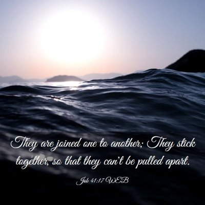 Picture 03 - Job 41:17 WEB - They are joined one to another; They stick - Bible Verse Picture