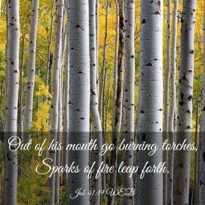 Picture 03 - Job 41:19 WEB - Out of his mouth go burning torches, Sparks of - Bible Verse Picture
