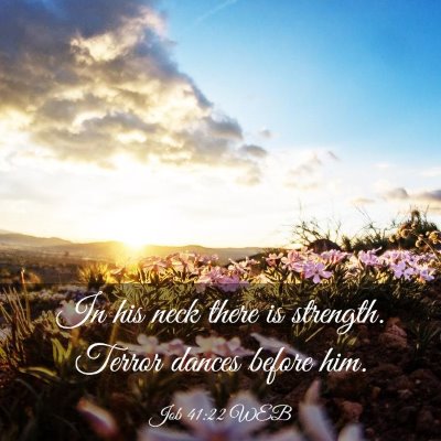 Picture 03 - Job 41:22 WEB - In his neck there is strength. Terror dances - Bible Verse Picture