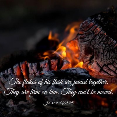Picture 03 - Job 41:23 WEB - The flakes of his flesh are joined together. They - Bible Verse Picture