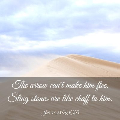 Picture 03 - Job 41:28 WEB - The arrow can't make him flee. Sling stones are - Bible Verse Picture