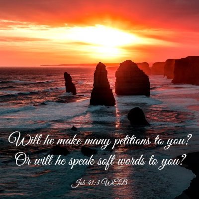 Picture 03 - Job 41:3 WEB - Will he make many petitions to you? Or will he - Bible Verse Picture
