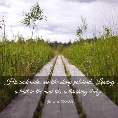 Picture 03 - Job 41:30 WEB - His undersides are like sharp potsherds, Leaving - Bible Verse Picture