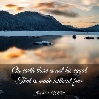 Picture 03 - Job 41:33 WEB - On earth there is not his equal, That is made - Bible Verse Picture