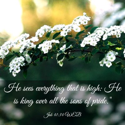 Picture 03 - Job 41:34 WEB - He sees everything that is high: He is king over - Bible Verse Picture