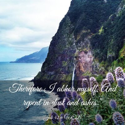 Picture 03 - Job 42:6 WEB - Therefore I abhor myself, And repent in dust and - Bible Verse Picture