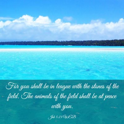 Picture 03 - Job 5:23 WEB - For you shall be in league with the stones of the - Bible Verse Picture