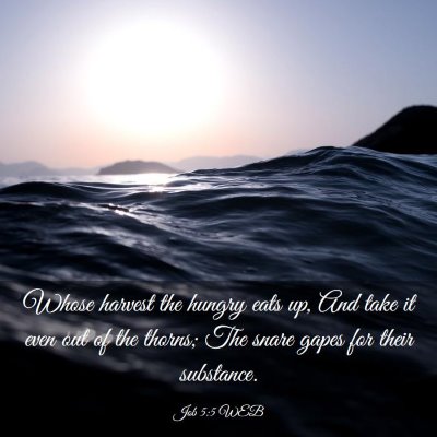 Picture 03 - Job 5:5 WEB - Whose harvest the hungry eats up, And take it - Bible Verse Picture