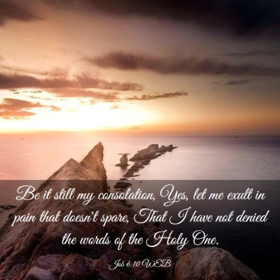 Picture 03 - Job 6:10 WEB - Be it still my consolation, Yes, let me exult in - Bible Verse Picture