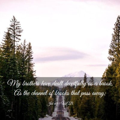 Picture 03 - Job 6:15 WEB - My brothers have dealt deceitfully as a brook, As - Bible Verse Picture