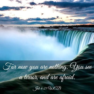 Picture 03 - Job 6:21 WEB - For now you are nothing. You see a terror, and - Bible Verse Picture