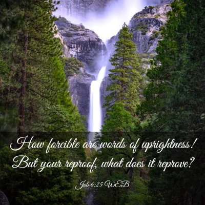 Picture 03 - Job 6:25 WEB - How forcible are words of uprightness! But your - Bible Verse Picture