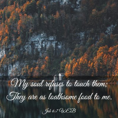 Picture 03 - Job 6:7 WEB - My soul refuses to touch them; They are as - Bible Verse Picture