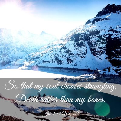 Picture 03 - Job 7:15 WEB - So that my soul chooses strangling, Death rather - Bible Verse Picture
