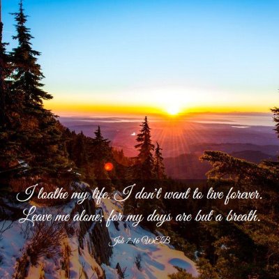 Picture 03 - Job 7:16 WEB - I loathe my life. I don't want to live forever. - Bible Verse Picture