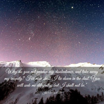 Picture 03 - Job 7:21 WEB - Why do you not pardon my disobedience, and take - Bible Verse Picture