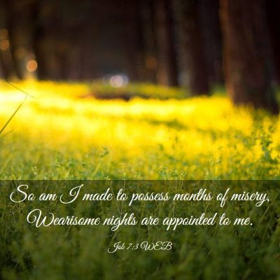 Picture 03 - Job 7:3 WEB - So am I made to possess months of misery, - Bible Verse Picture