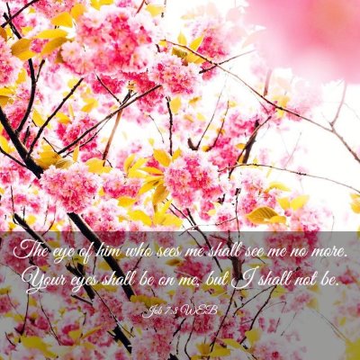 Picture 03 - Job 7:8 WEB - The eye of him who sees me shall see me no more. - Bible Verse Picture