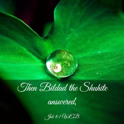 Picture 03 - Job 8:1 WEB - Then Bildad the Shuhite - Bible Verse Picture