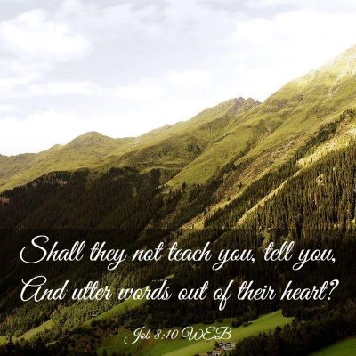 Picture 03 - Job 8:10 WEB - Shall they not teach you, tell you, And utter - Bible Verse Picture