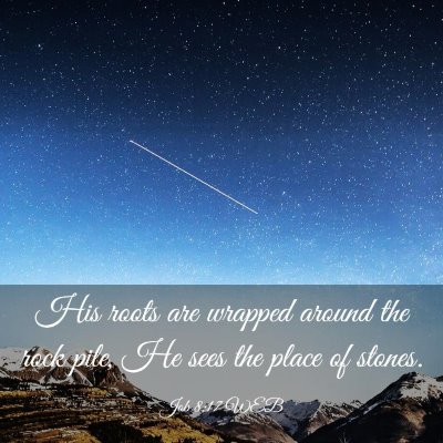 Picture 03 - Job 8:17 WEB - His roots are wrapped around the rock pile, He - Bible Verse Picture