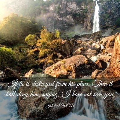 Picture 03 - Job 8:18 WEB - If he is destroyed from his place, Then it shall - Bible Verse Picture