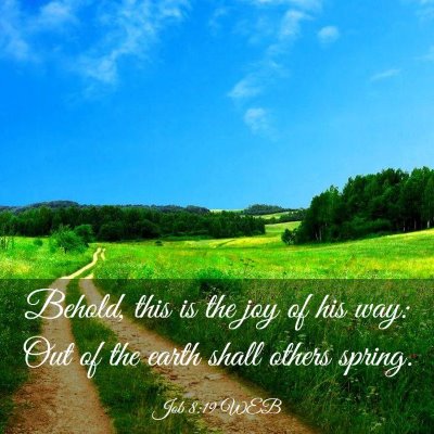 Picture 03 - Job 8:19 WEB - Behold, this is the joy of his way: Out of the - Bible Verse Picture