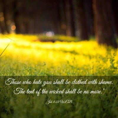 Picture 03 - Job 8:22 WEB - Those who hate you shall be clothed with shame. - Bible Verse Picture