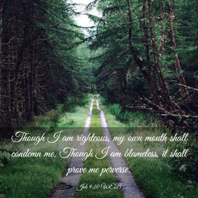 Picture 03 - Job 9:20 WEB - Though I am righteous, my own mouth shall condemn - Bible Verse Picture