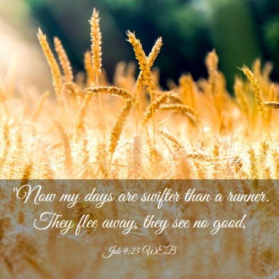 Picture 03 - Job 9:25 WEB - 