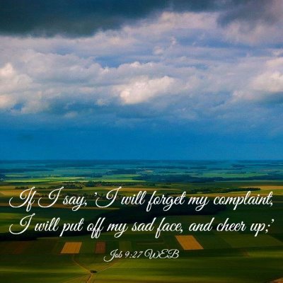 Picture 03 - Job 9:27 WEB - If I say, 'I will forget my complaint, I will put - Bible Verse Picture