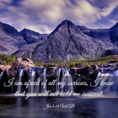 Picture 03 - Job 9:28 WEB - I am afraid of all my sorrows, I know that you - Bible Verse Picture