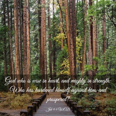 Picture 03 - Job 9:4 WEB - God who is wise in heart, and mighty in strength: - Bible Verse Picture